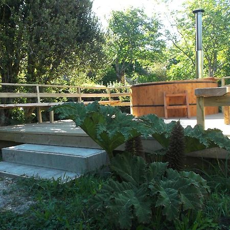 Apart Hotel Puchaley Lafquen Panguipulli Εξωτερικό φωτογραφία