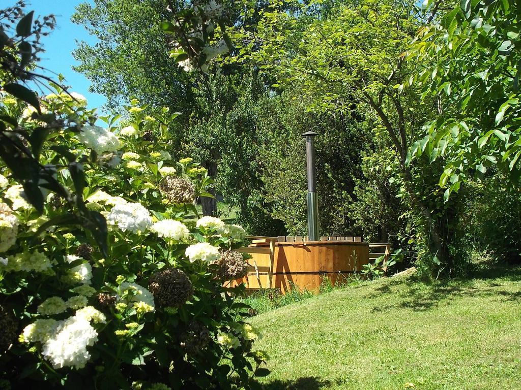 Apart Hotel Puchaley Lafquen Panguipulli Εξωτερικό φωτογραφία