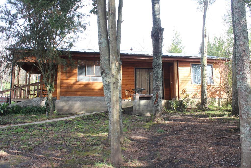 Apart Hotel Puchaley Lafquen Panguipulli Εξωτερικό φωτογραφία