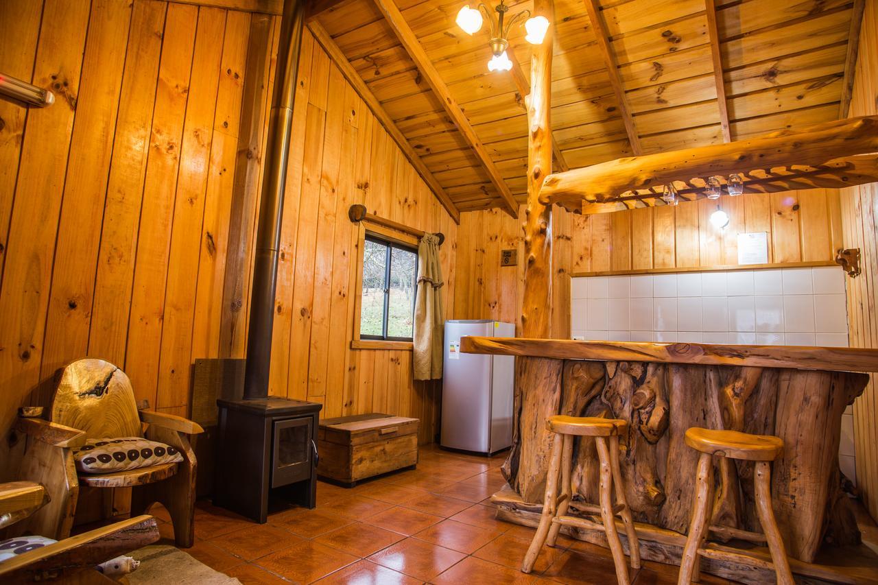 Apart Hotel Puchaley Lafquen Panguipulli Εξωτερικό φωτογραφία